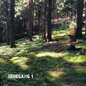 Survival im Wald Lehrgang 1